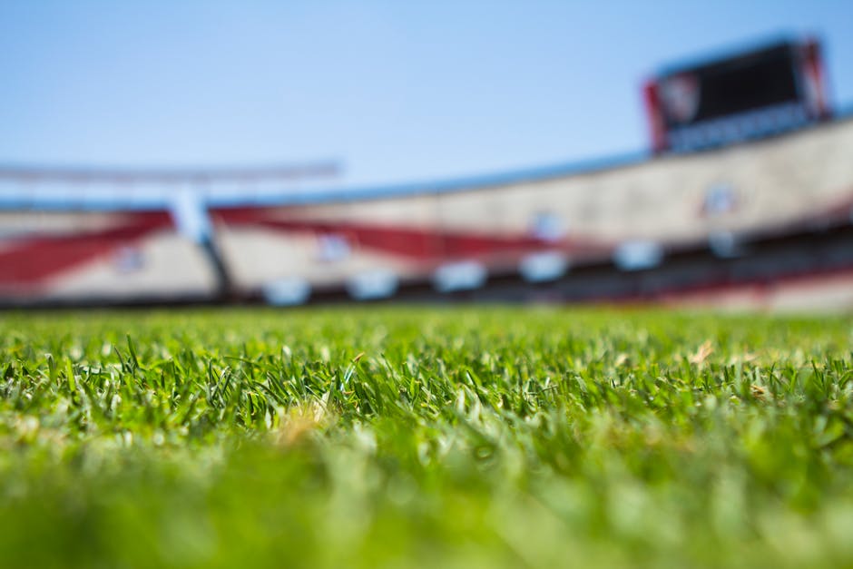 Close-up view of finely trimmed, vibrant green grass on a sports field at Wembley Stadium, with a flat perspective emphasizing the detailed texture of the blades of grass. In the background, blurred stadium seating and structural elements can be seen, highlighting the outdoor environment under clear blue skies. The scene reflects garden maintenance work, involving lawn care and turf management carried out by Gardeners Brent, with an emphasis on precise mowing and landscaping in a large sporting venue setting.